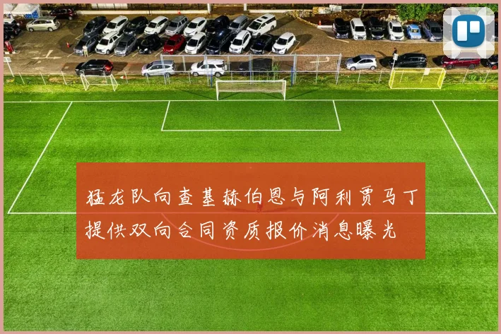 猛龙队向查基赫伯恩与阿利贾马丁提供双向合同资质报价消息曝光