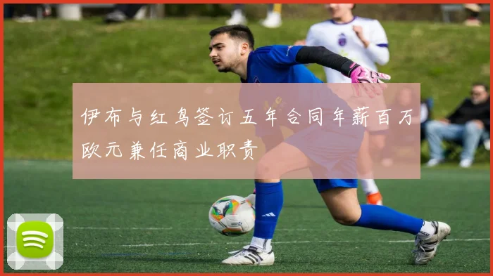 伊布与红鸟签订五年合同年薪百万欧元兼任商业职责