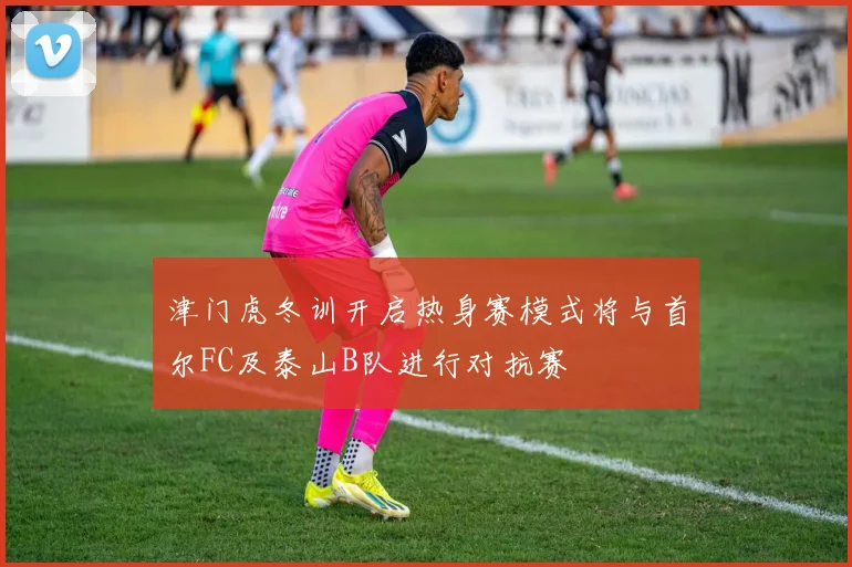津门虎冬训开启热身赛模式将与首尔FC及泰山B队进行对抗赛